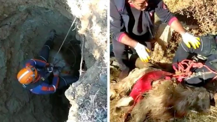 Elazığ'da 10 metrelik su kuyusuna düşen keçi kurtarıldı