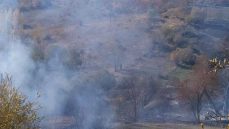 Malatya'da 5 dönümlük ormanlık alan yandı