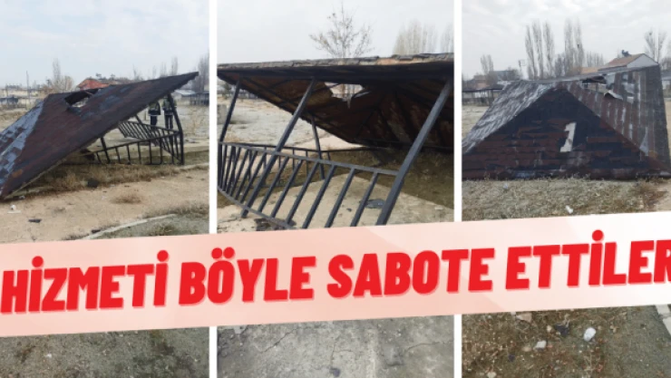 Ağrı'da parktaki kamelyaları talan ettiler