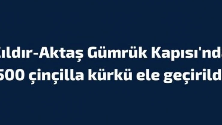 Çıldır-Aktaş Gümrük Kapısı'nda 500 çinçilla kürkü ele geçirildi