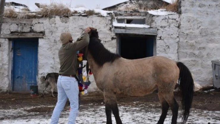 Çıldır Gölü'nün kızakçıları atlarını kış turizm sezonuna hazırlıyor