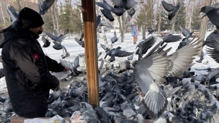 3 ilde soğuk hava etkili oldu