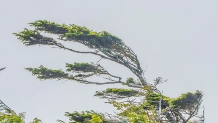 Meteoroloji'den 6 il için sarı kodlu uyarı: Fırtına geliyor!