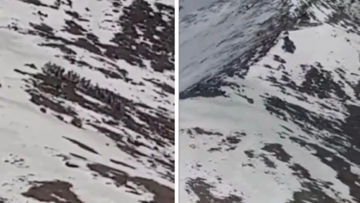 MSB, terör örgütünden temizlenen Yüksekova dağlarındaki doğal yaşamı paylaştı