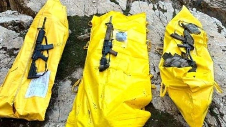 Şırnak'ta 3 PKK'lı etkisiz hale getirildi