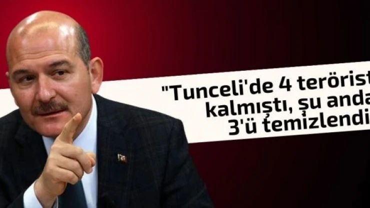 Tunceli'de 3 terörist etkisiz hale getirildi