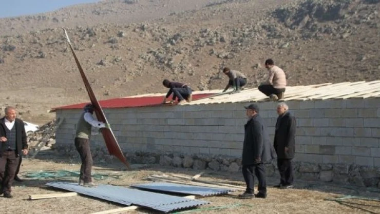 Bulanık'ta sessiz dostlar artık üşümeyecek