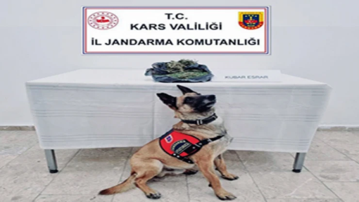 Kars'ta uyuşturucu operasyonu