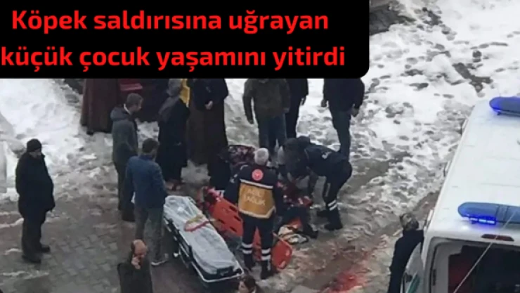 Van'da köpek saldırısına uğrayan çocuktan acı haber