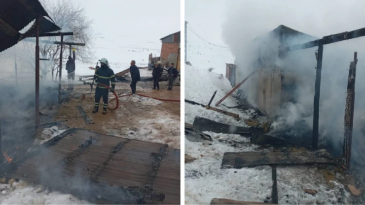 Ahırda çıkan yangın köpek yavrularının canını aldı