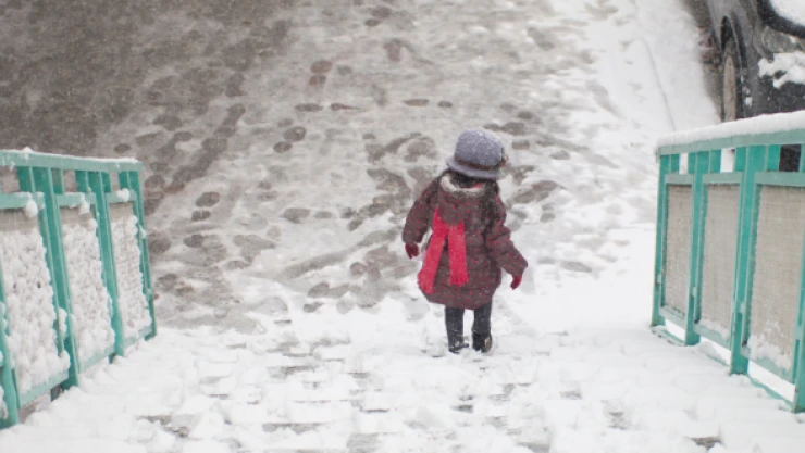 Bitlis'te okullar tatil edildi