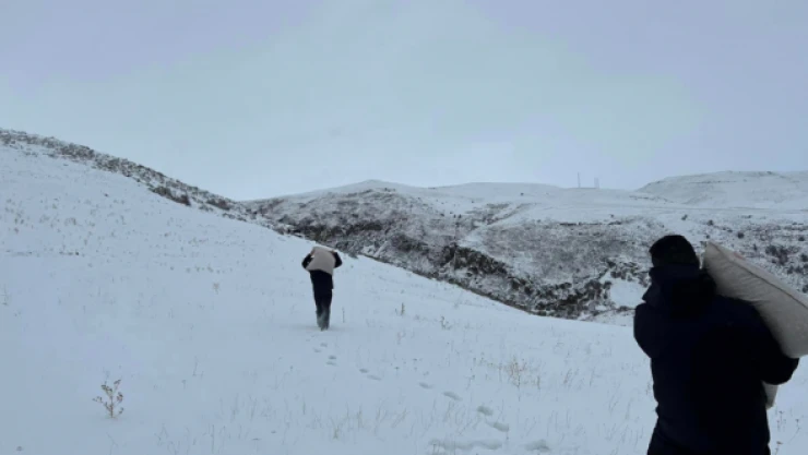 Kars'ta yaban hayvanları unutulmadı