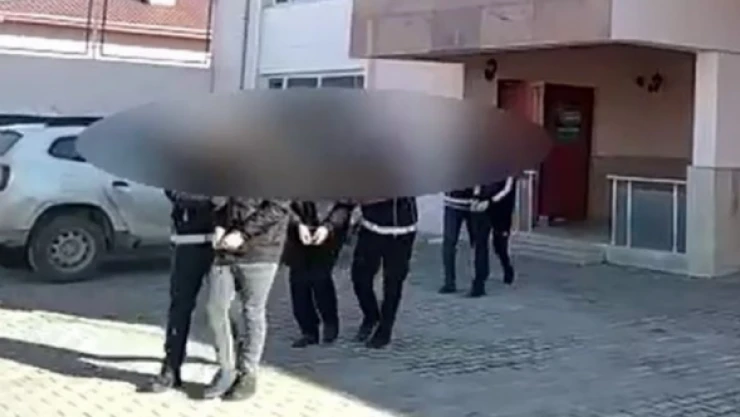 Van'da göçmen kaçakçılığı operasyonu