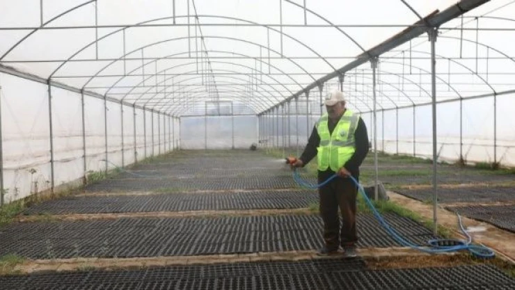 Iğdır Belediyesi çiçeklerini kendisi üretiyor