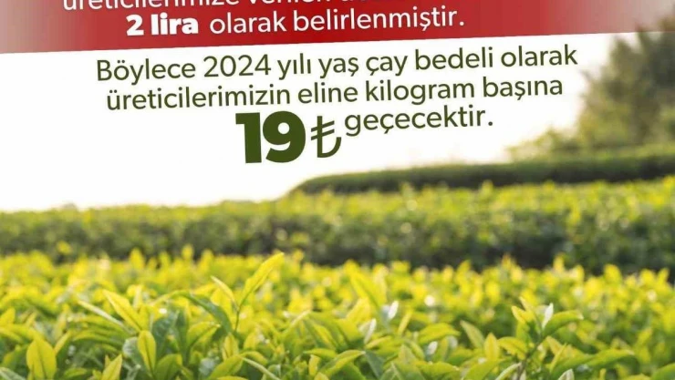 2024 yılı için kilogram başı yaş çay alım fiyatı 17 lira olarak belirlendi