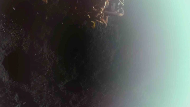 ABD'den fırlatılan Blue Ghost (Mavi Hayalet) isimli uzay aracı Ay'a iniş yaptı