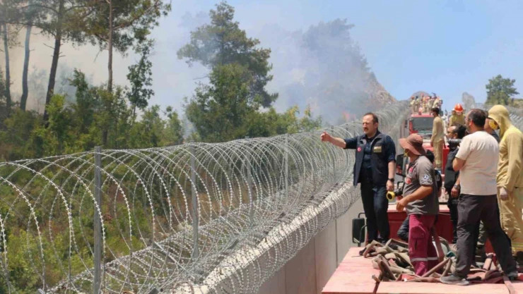 AFAD: 'Yangınlara 734 personel, 7 uçak, 14 helikopter, 215 araç ile müdahale edilmektedir'