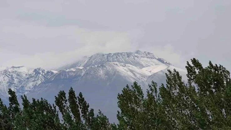 Ağustos ayında Süphan Dağı'nın zirvesine kar yağdı