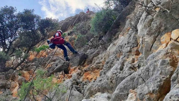AKUT'tan Marmaris'te keçi operasyonu