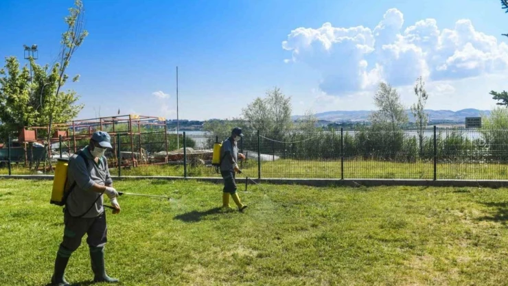 Ankara Büyükşehir parklarda vektörle mücadele ve temizlik çalışmalarına devam ediyor