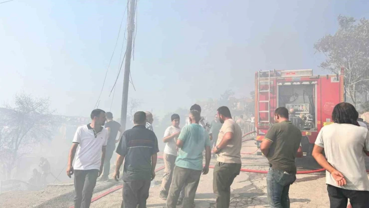 Ankara'da ağaçlık alanda çıkan yangın gecekondulara sıçradı