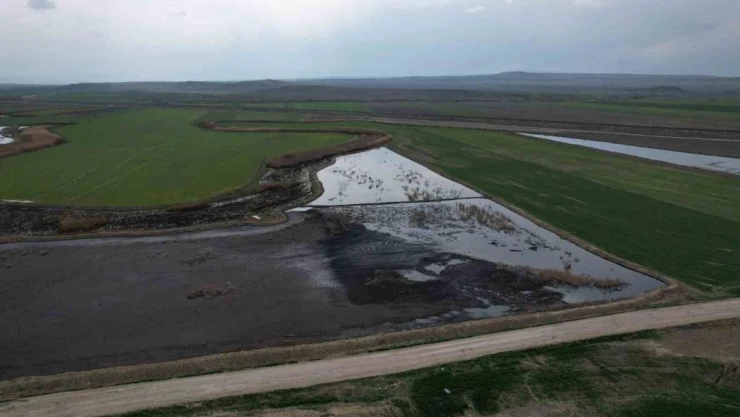 Ankara'da çevre felaketi: Firmalar atıklarını tarlaya bırakıyor