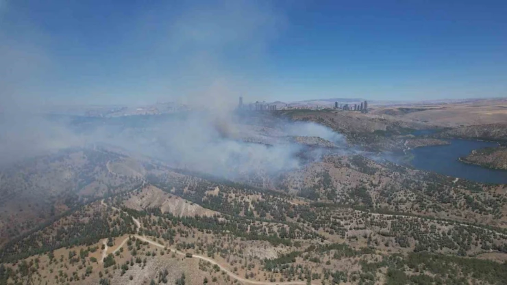 Ankara'daki orman yangını dron ile görüntülendi