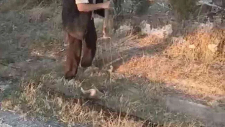 Ankara'nın Polatlı ilçesinde vahşet