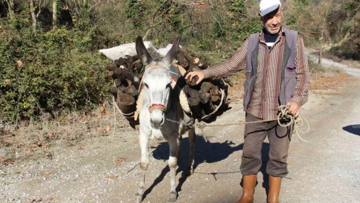 Araç kullanamadığı için eşekle yük çekiyor