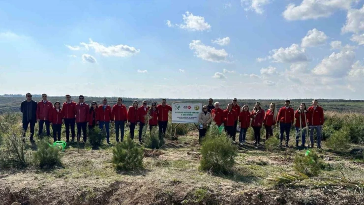 Aras Kargo 16 bin fidanı toprakla buluşturuyor