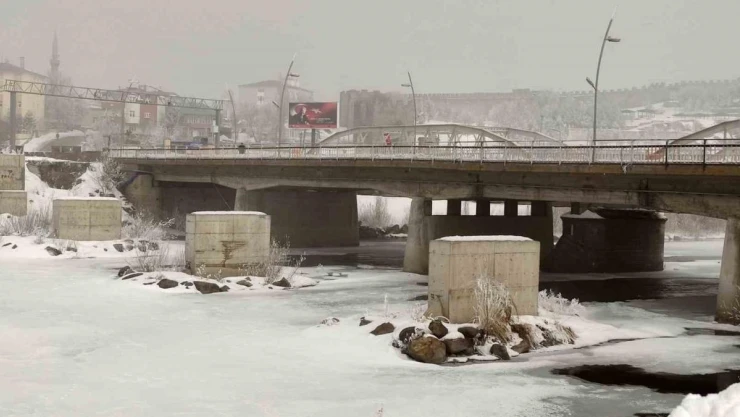 Ardahan'da dondurucu soğuk: Ağaçlar kırağı tuttu