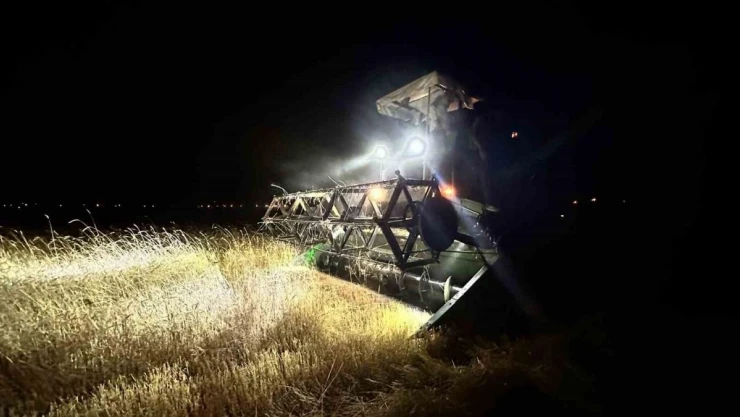 Aşırı sıcaklar çiftçilere gece mesai yaptırıyor