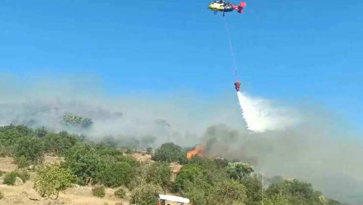 Aydın'da makilik alandaki yangın kontrol altına alındı