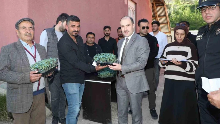 Başkale'de domates fidesi dağıtıldı