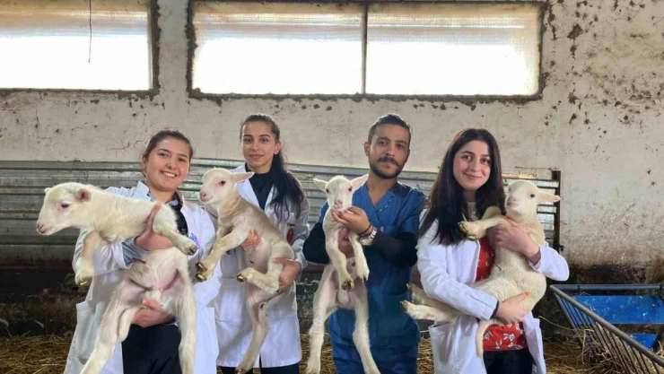 BAÜN Veteriner Fakültesi Öğrencileri, 'Yetiştirme Çiftliğinde' pratik kazanıyor