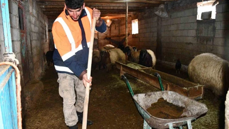 Beytüşşebap'ta besicilerin zorlu kış mesaisi sürüyor
