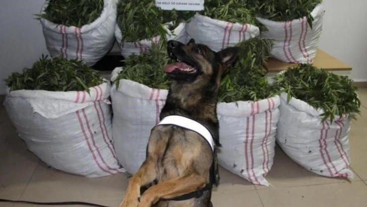 Bingöl'de bir haftada 112 kilo uyuşturucu ele geçirildi