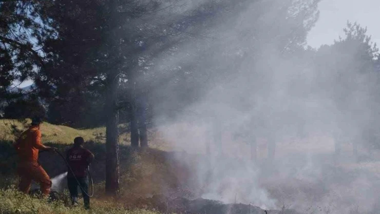 Bingöl'de çamlık alanda çıkan yangın büyümeden söndürüldü