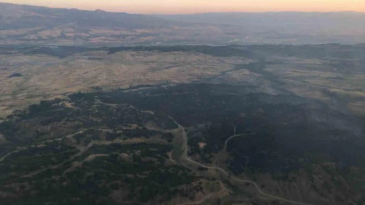 Bingöl'de dün çıkan orman yangınında 55 hektarlık alan zarar gördü