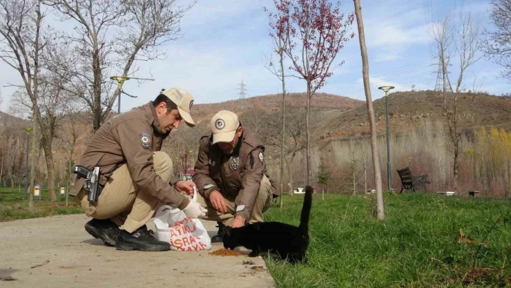 Bingöl'de HAYDİ ekipleri can dostları unutmuyor