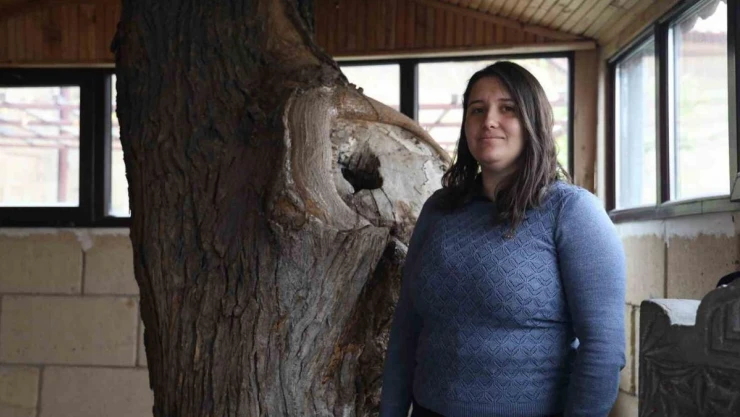 Bir asır sonra fark edildi, yaşı uzmanları bile şaşırttı