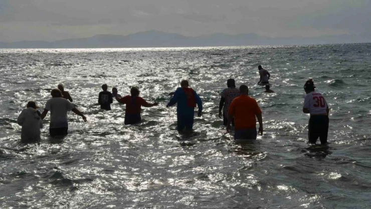 Didim'de sokak hayvanları için denize girdiler