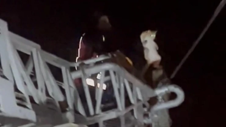 Direkte mahsur kalan kedi kurtarıldı