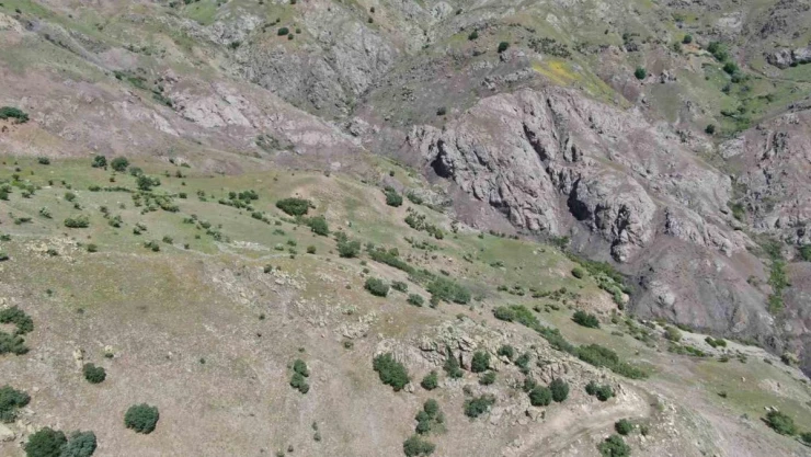 Elazığ'daki kan donduran cinayetin dehşet veren detayları ortaya çıktı