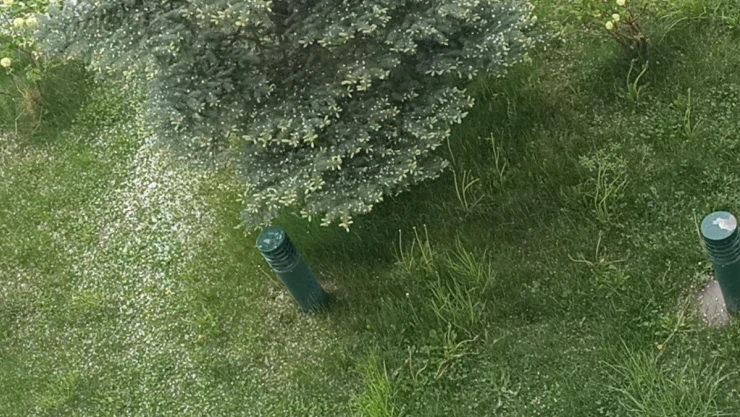 Erciş'te yağmur ve dolu etkili oldu