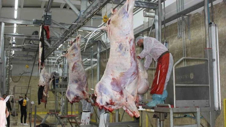 Erzincan'da resmi veteriner hekimlik eğitimi veriliyor