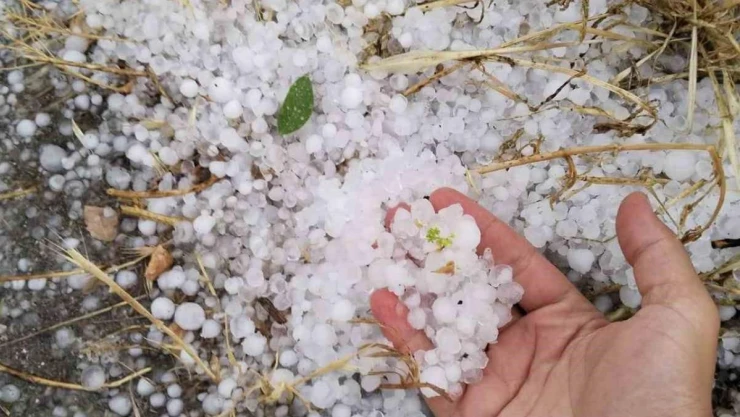 Erzincan'ın Tercan ilçesinde dolu etkili oldu