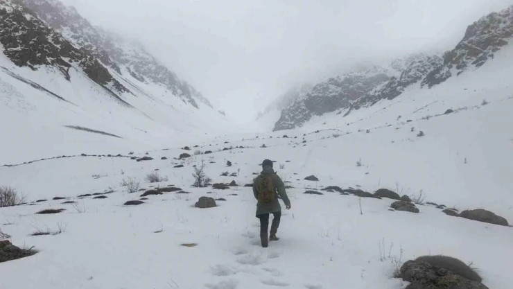 Erzincan'ın yüksek kesimlerine kar yağdı