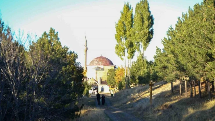 Erzurum'da ormanlık alanlara girişler yasaklandı