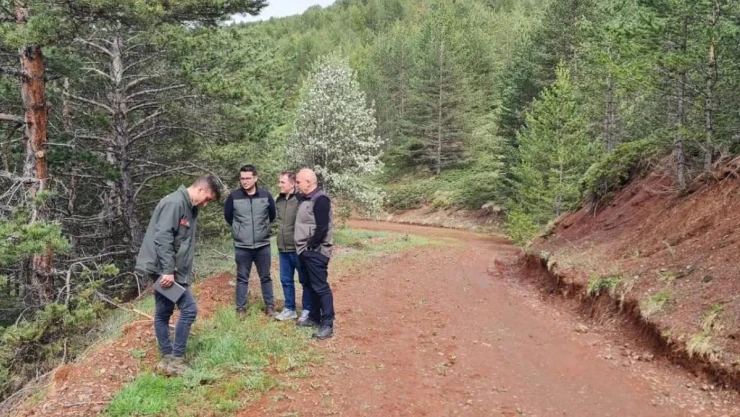 Erzurum Orman Bölge Müdürü Ayatay, Refahiye ormanlarında incelemelerde bulundu